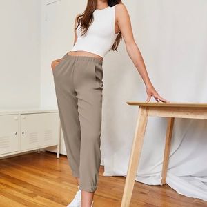 Aritzia Dexter Pant